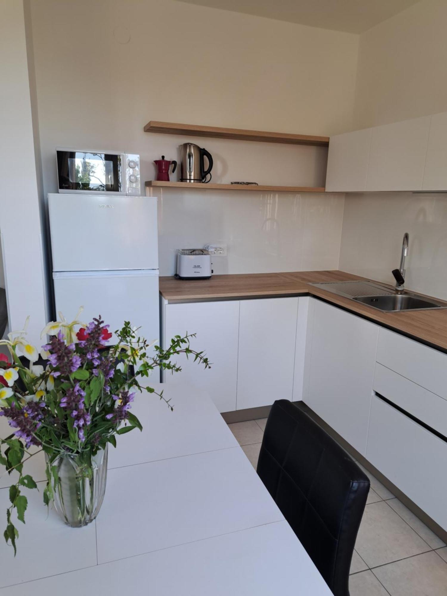 Apartment Elinor 2 Ровинь Экстерьер фото